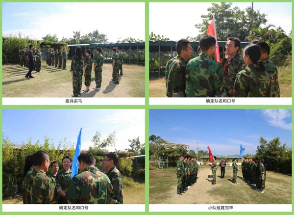 南宫体育app官网新能源_厚积薄发_赢胜2021(图4)