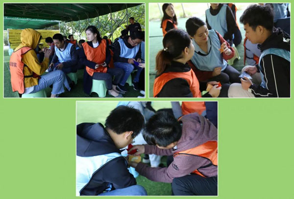 南宫体育app官网新能源_厚积薄发_赢胜2021(图16)